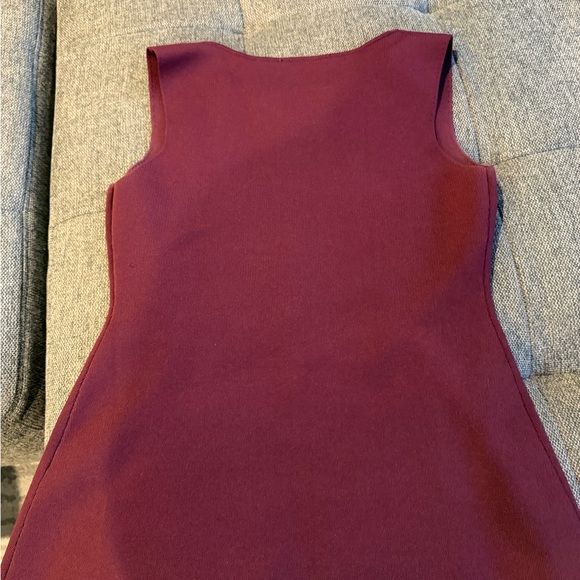 Zara Deep Red Sleeveless Dress with Buttons - Picture 4 of 9